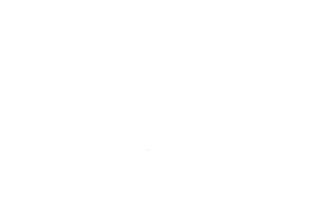 AmCham